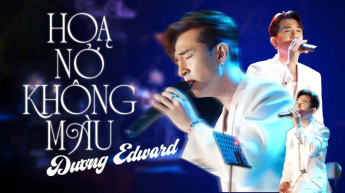 Hoa Nở Không Màu