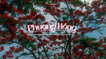 Album Phượng Hồng