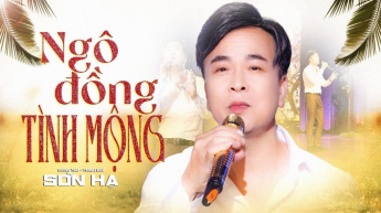 Ngô Đồng Tình Mộng