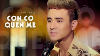 Con Cò Quên Mẹ